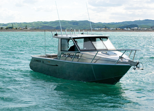 typhoon rc boats