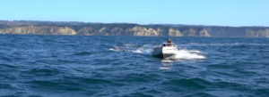 Senator Spearfisher | Senatorboats