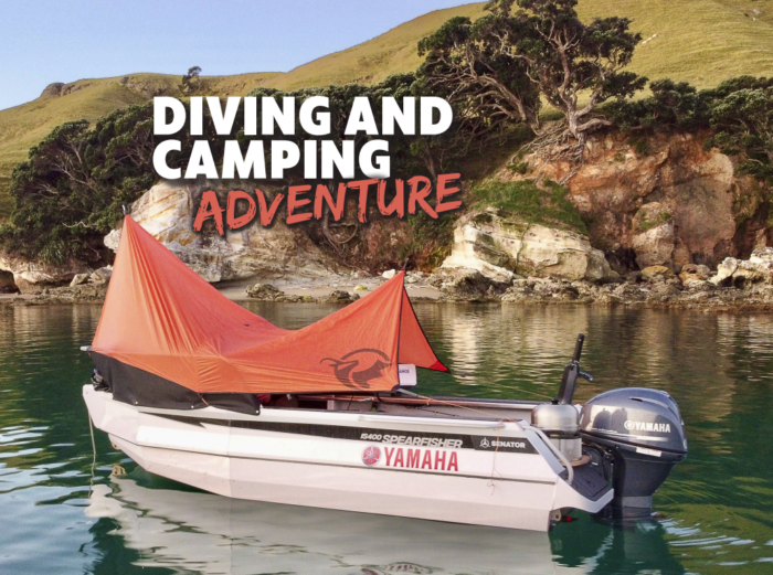 Spearfishing & Camping